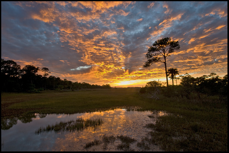 Kiawah Island, South Carolina