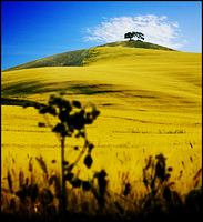 All images copyright Patrick O'Brien 2009