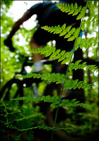All images copyright Patrick O'Brien 2009