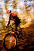 All images copyright Patrick O'Brien 2009