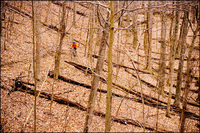 All images copyright Patrick O'Brien 2009