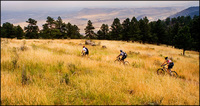 All images copyright Patrick O'Brien 2009