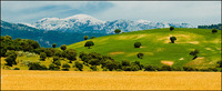 All images copyright Patrick O'Brien 2009