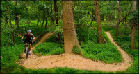 All images copyright Patrick O'Brien 2009