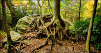 All images copyright Patrick O'Brien 2009