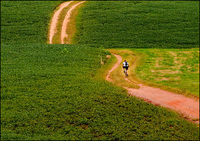 All images copyright Patrick O'Brien 2009