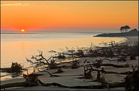 All images copyright Patrick O'Brien 2009