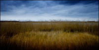 All images copyright Patrick O'Brien 2009