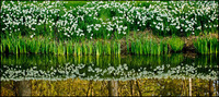 All images copyright Patrick O'Brien 2009