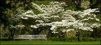 All images copyright Patrick O'Brien 2009
