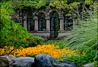 All images copyright Patrick O'Brien 2009
