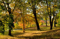 All images copyright Patrick O'Brien 2009