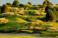 All images copyright Patrick O'Brien 2009