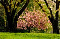 All images copyright Patrick O'Brien 2009