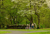 All images copyright Patrick O'Brien 2009