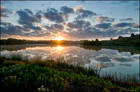 All images copyright Patrick O'Brien 2009