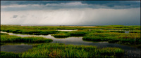 All images copyright Patrick O'Brien 2009