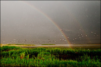 All images copyright Patrick O'Brien 2009