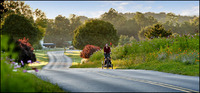 All images copyright Patrick O'Brien 2009