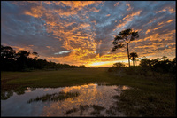 Kiawah Island, South Carolina - ©2022 Patrick O'Brien