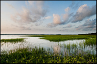 Kiawah River, South Carolina - ©2022 Patrick O'Brien