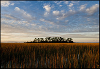 Kiawah Island, South Carolina - ©2022 Patrick O'Brien
