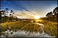Kiawah Island, South Carolina - ©2022 Patrick O'Brien